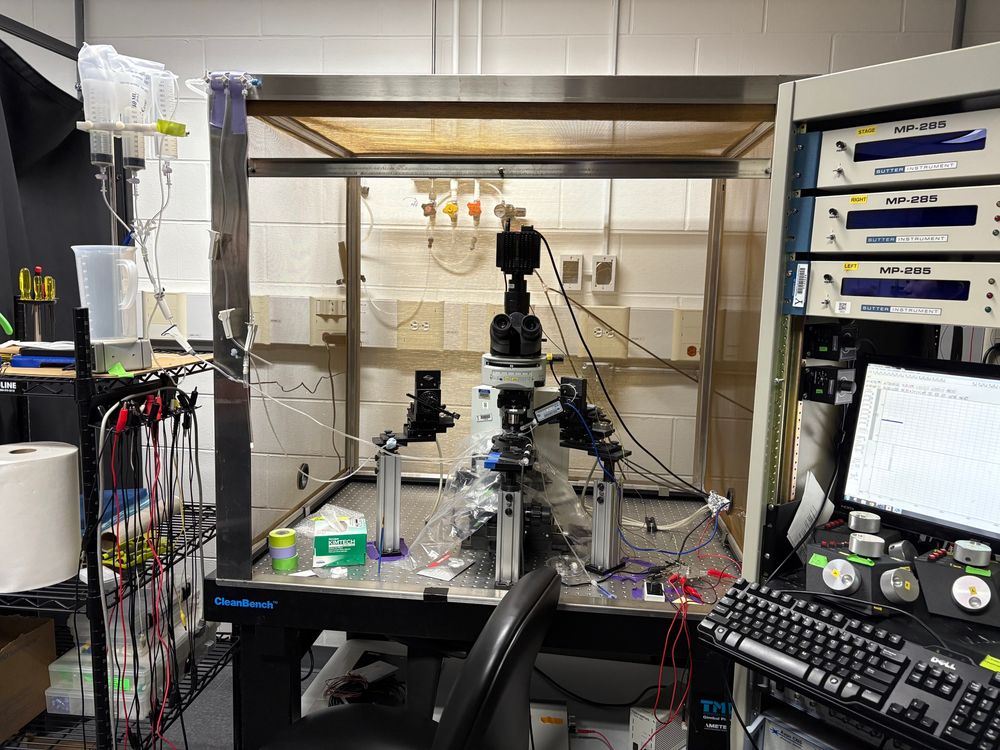 A rig for slice patch clamp electrophysiology. 