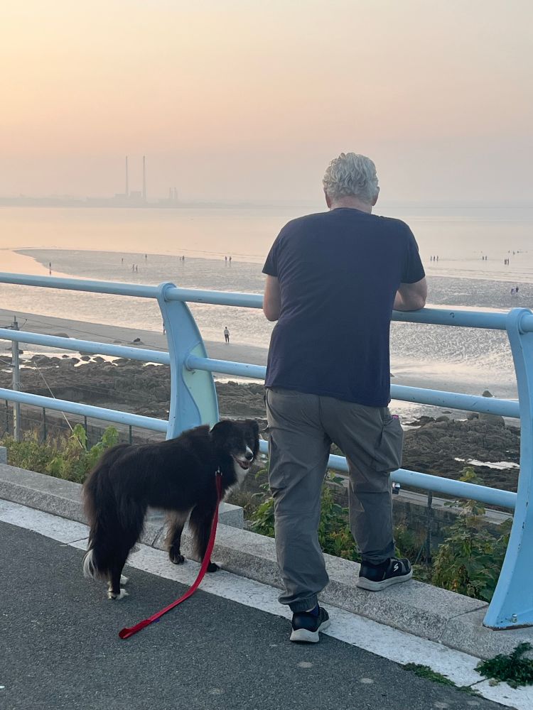 Fred, black and white border collie, looking at camera beside John, his fave human, looking the other way, out over a misty Dublin Bay.