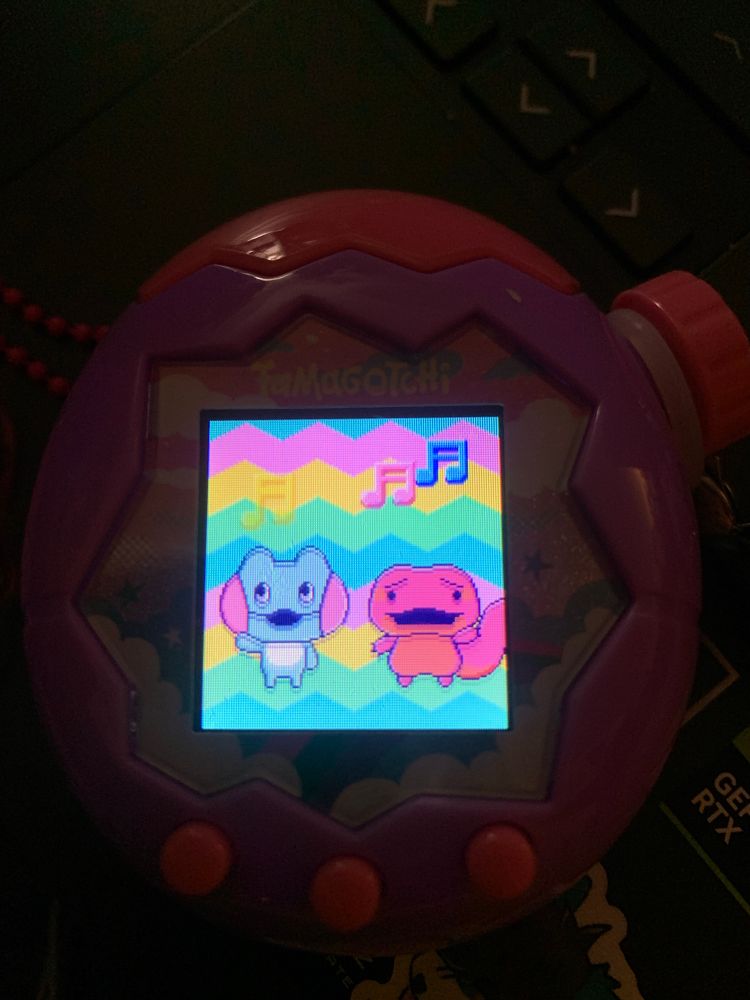 Photo of a tamagotchi paradise