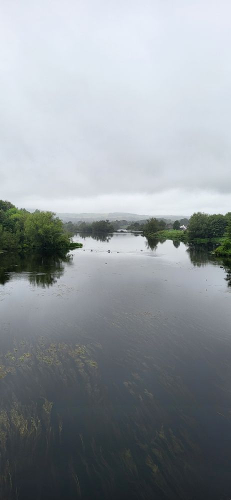 Picture of the Shannon River under the Athlunkard Bridge in Corbally. The bridge crosses the Limerick/Clare border.