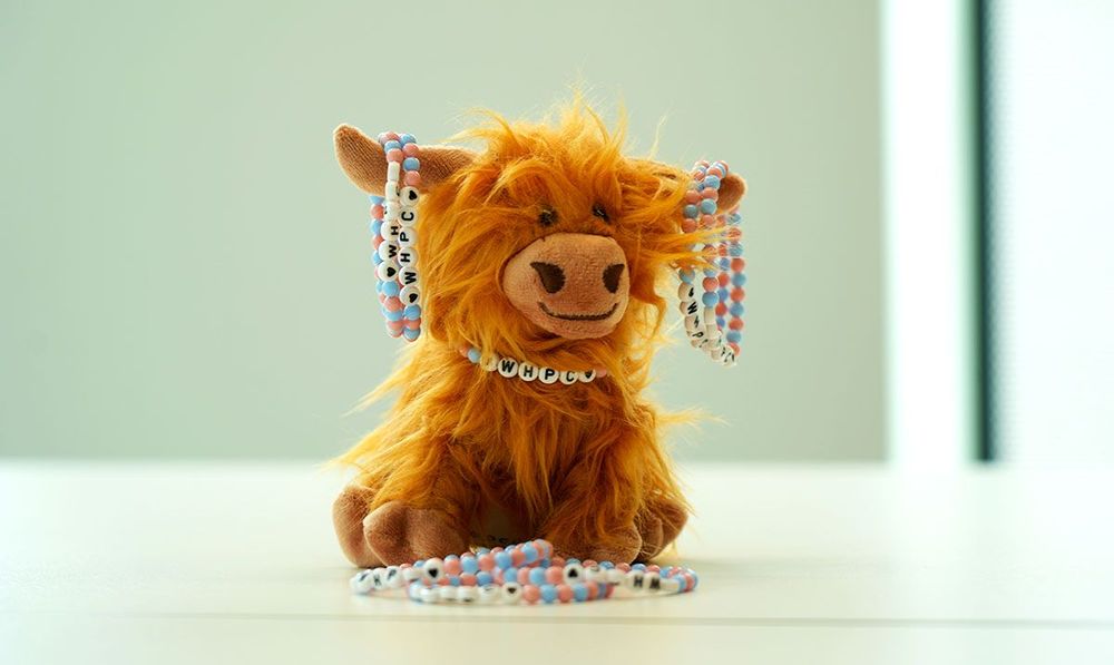 Highland cow soft toy