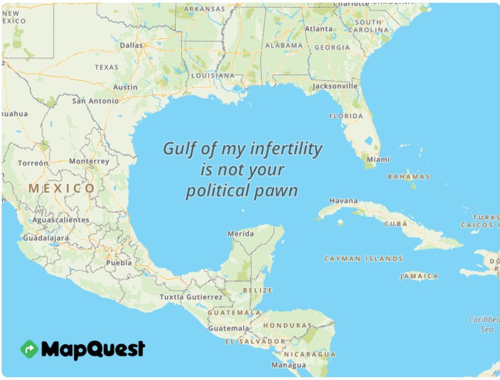 An image generated renaming the Gulf of Mexico, which had been changed by the Gulf of America to "Gulf of my infertility is not your political pawn"