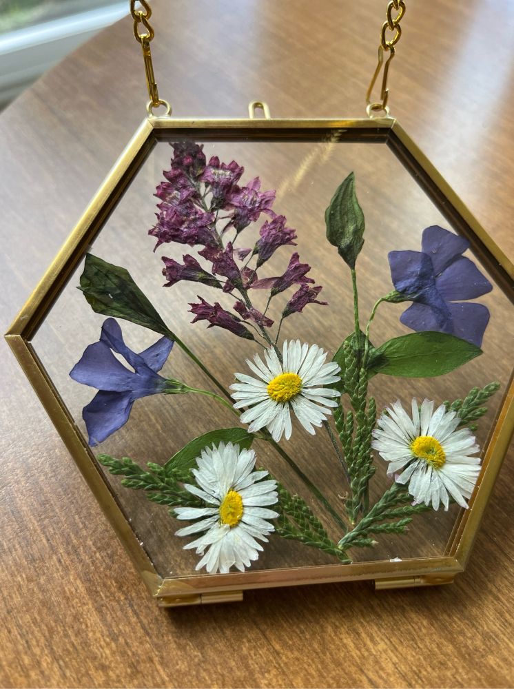 Three different kinds of dried flowers are encased in a clear glass wall hanging, daisies, and purple flowers from the spring.