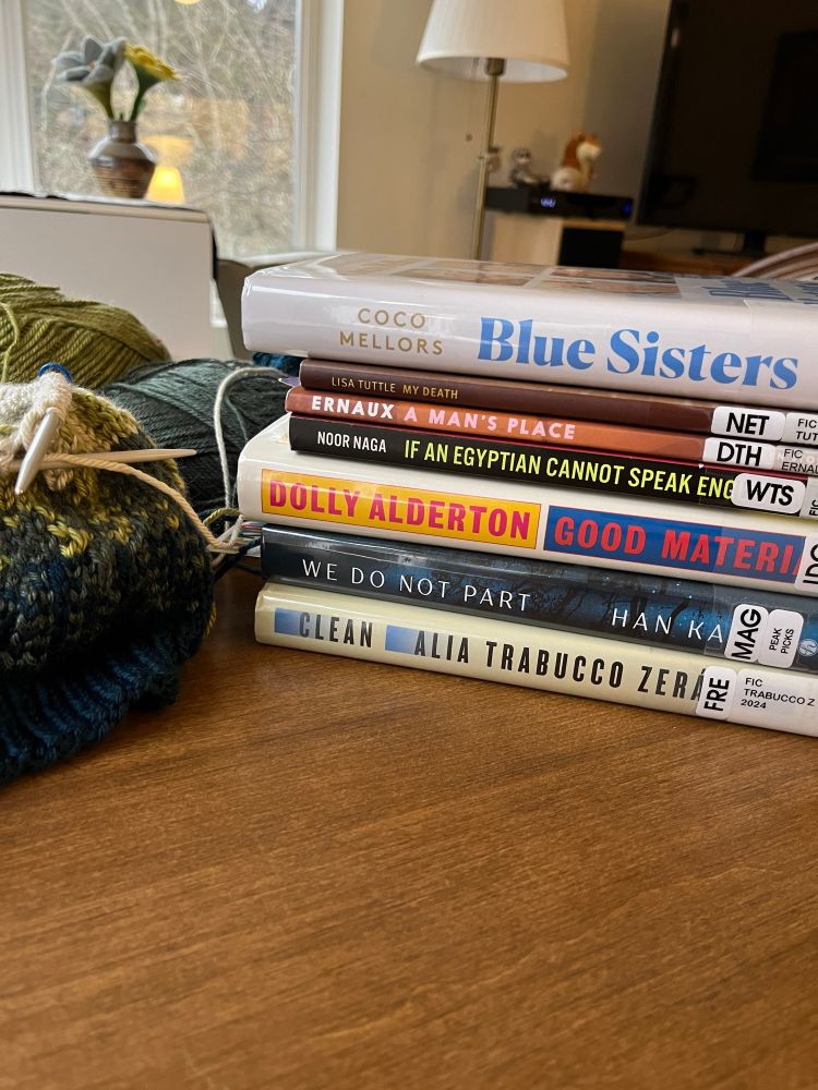 Stack of book with the titles, blue sisters, my death, a man’s place, if an Egyptian cannot speak English, good material, we do not park, and clean.  Knitting project next to it, depicting forest of trees in hat.  