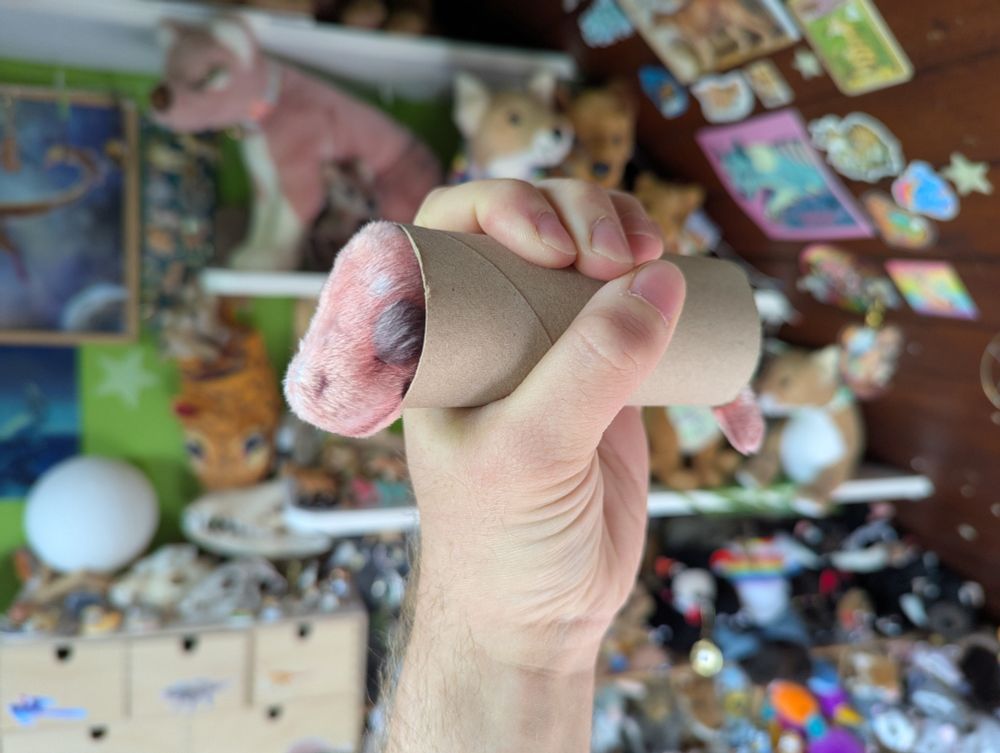 The foetal-looking plush thylacine joey has been squished into an empty toilet roll tube. Its little sleepy face and tail are peeking out the ends.