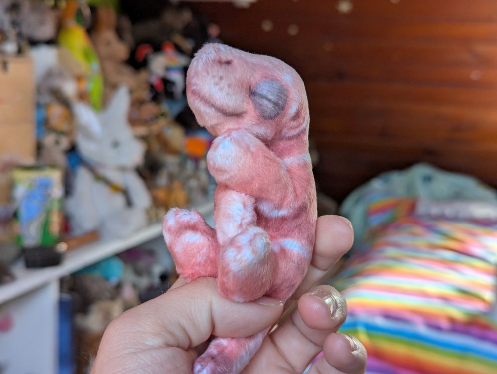 The joey, held upright, appears to be pondering with one paw held up to its face. It just came out of the tube posed like this.
