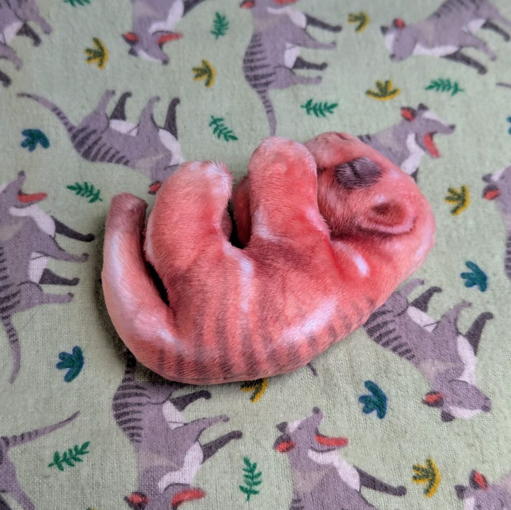 The joey lying on its side on a thylacine patterned blanket, showing a faintly striped back and a subtle vein on the side of its tummy.