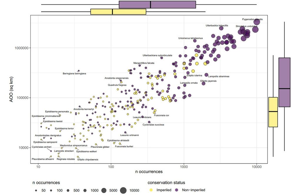 Scatter plot of n occurances verses area of occupancy for ~280 freshwater mussel species; imperiled species have less occurrences and smaller area of occupancy.