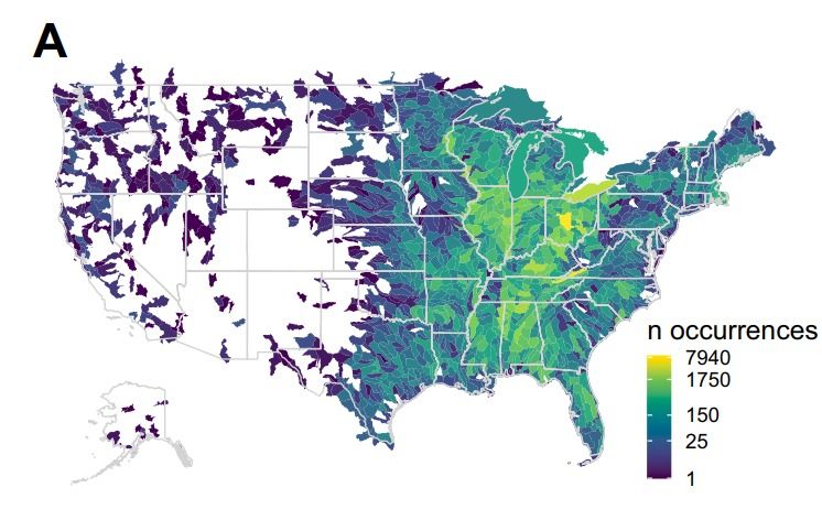 A map showing that the number of museum lots is highest in Ohio, Illinois, Kentucky, Tennessee, and Alabama. The west USA has few occurrences.