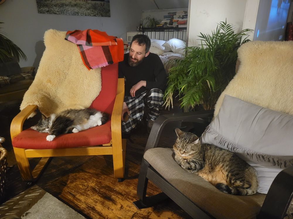 Matt looks at the cat on the chair. The other cat ignores them both 