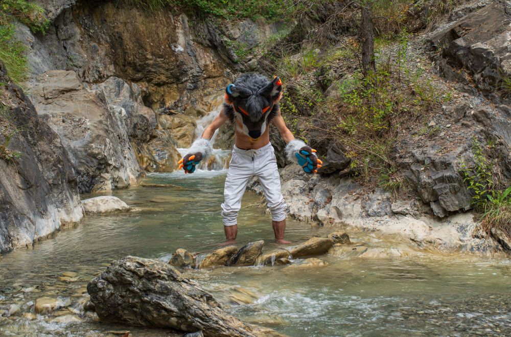 A wolf fursuit (Ethyos) standing in the river looking at the water at his feets