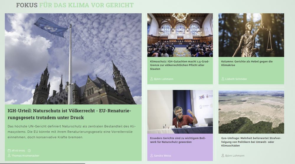 Mit Bildern versehene Kacheln,die auf viele Texte zur Rolle von Gerichten für den Umweltschutz verweisen. 