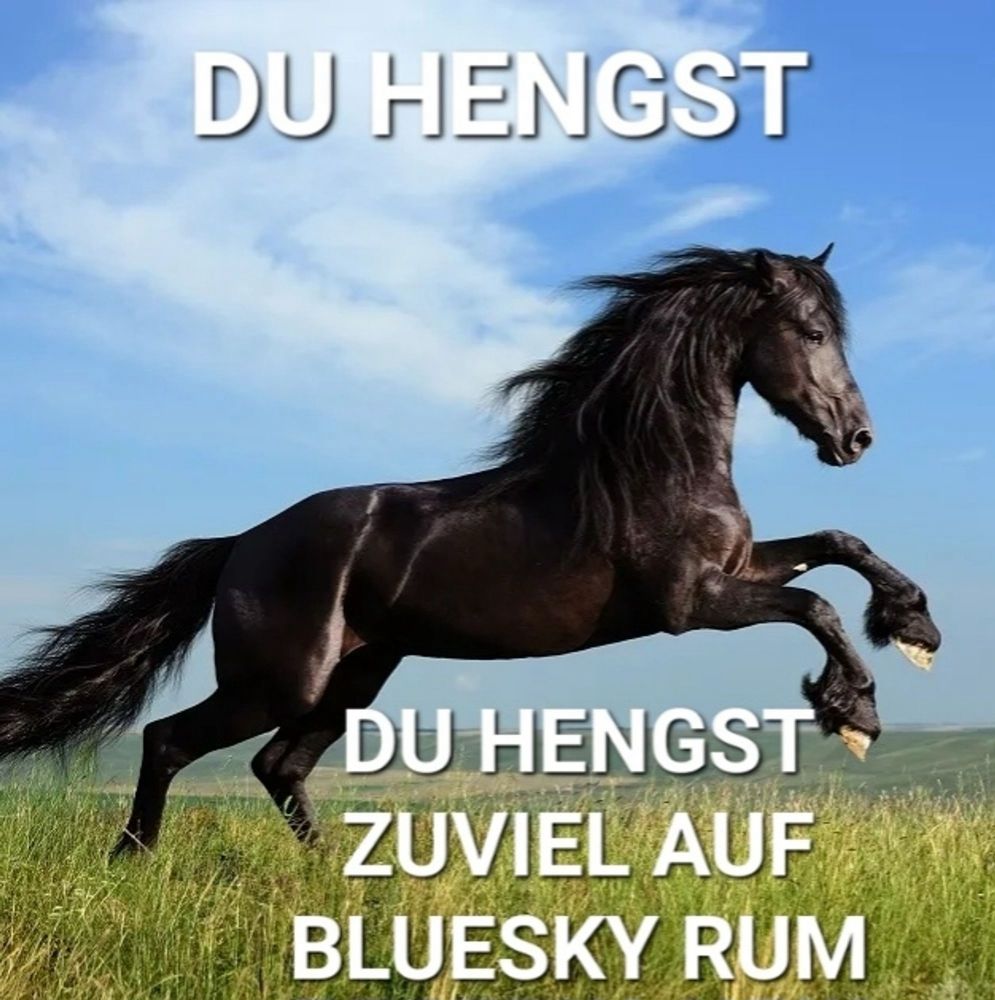 Galoppierendes Pferd mit Beschriftung: Du Hengst. Du hengst zuviel auf Bluesky rum.