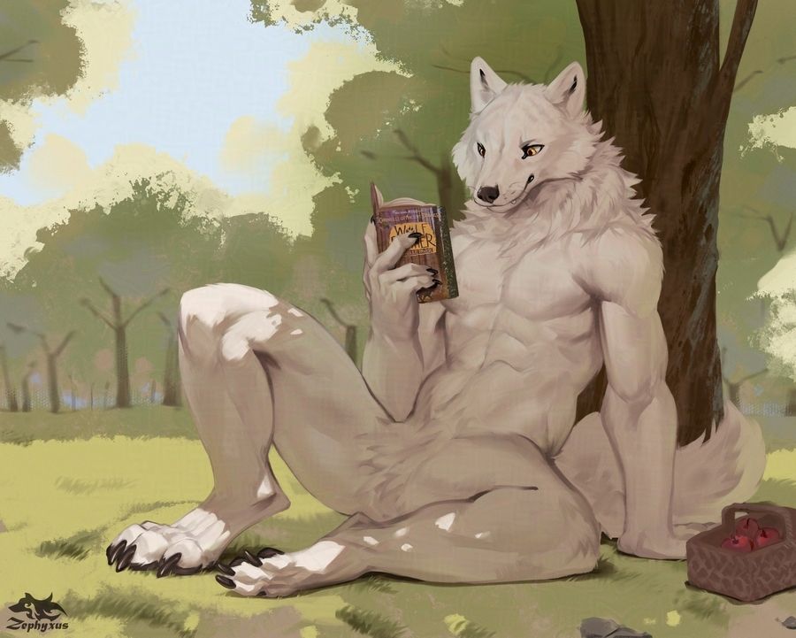 whitewolves reading in meadow