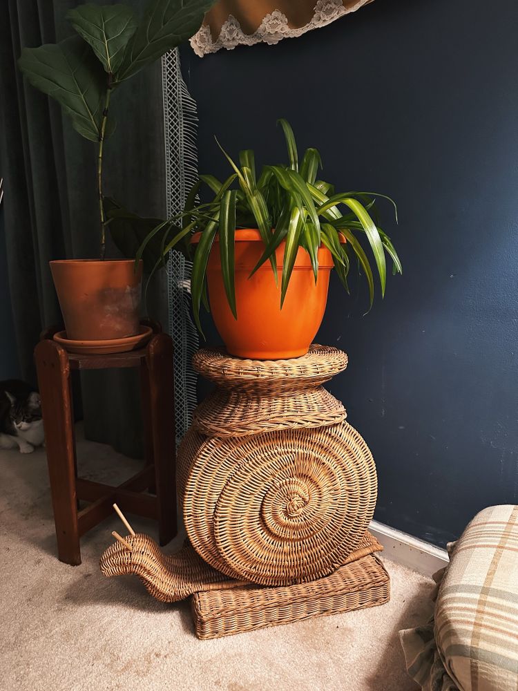 rattan snail table with a plant on it