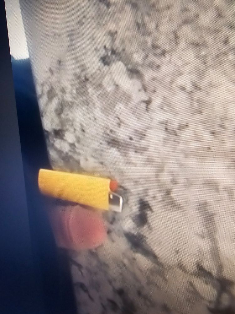 Little dick on a counter next to a yellow lighter lol 🤣 