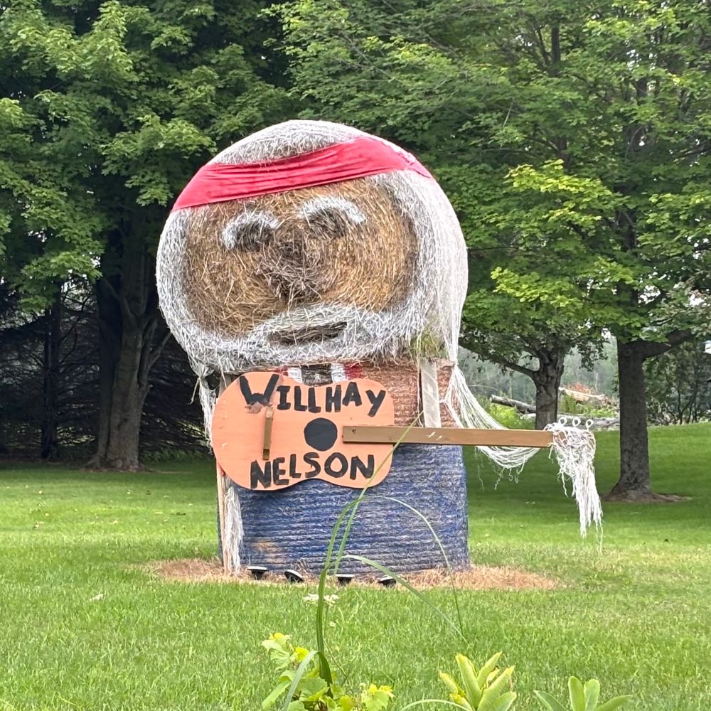 Two bales of hay that sort of look like Willy Nelson holding a guitar labeled “Willhay Nelson”