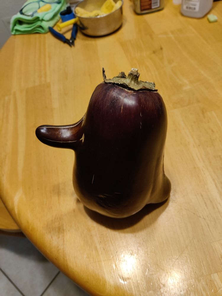 A large eggplant that looks like it has a long round nose.