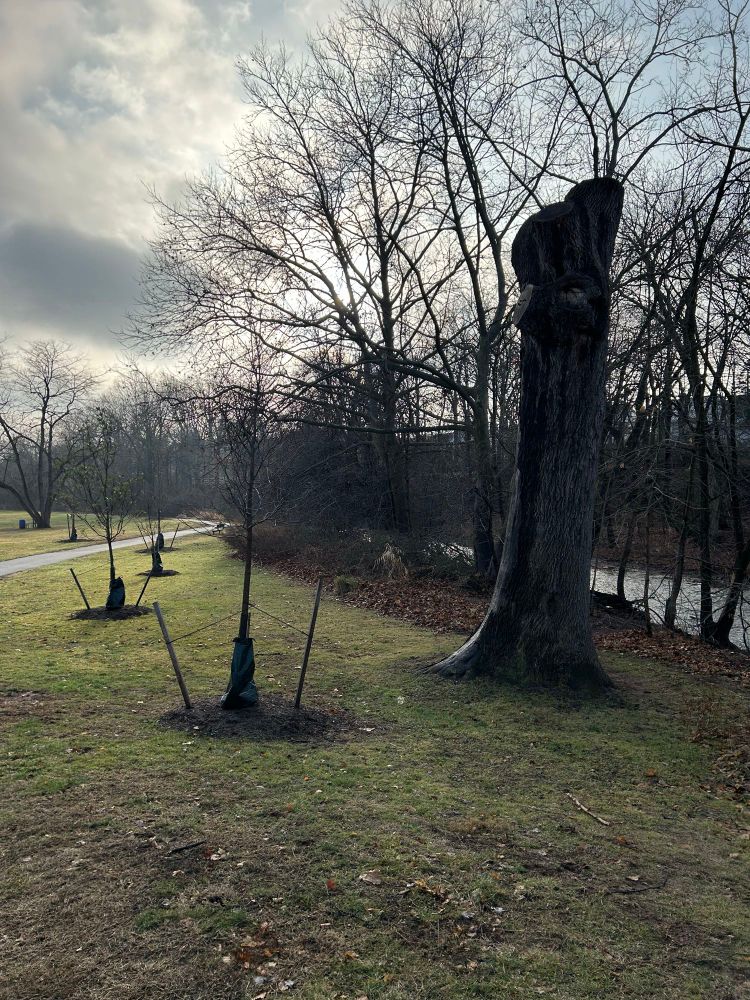 Overcast morning walk through the park