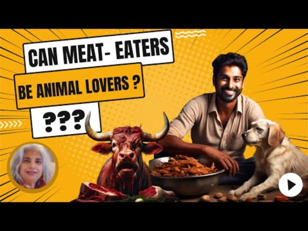 Can MEAT- Eaters Be Animal Lovers??? || Are Non-Vegetarian Animal Lovers |