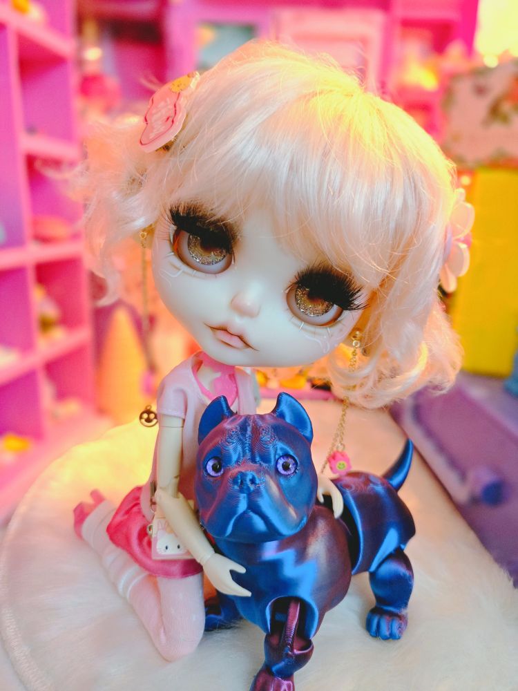 Big-headed Blythe doll and her blue dog