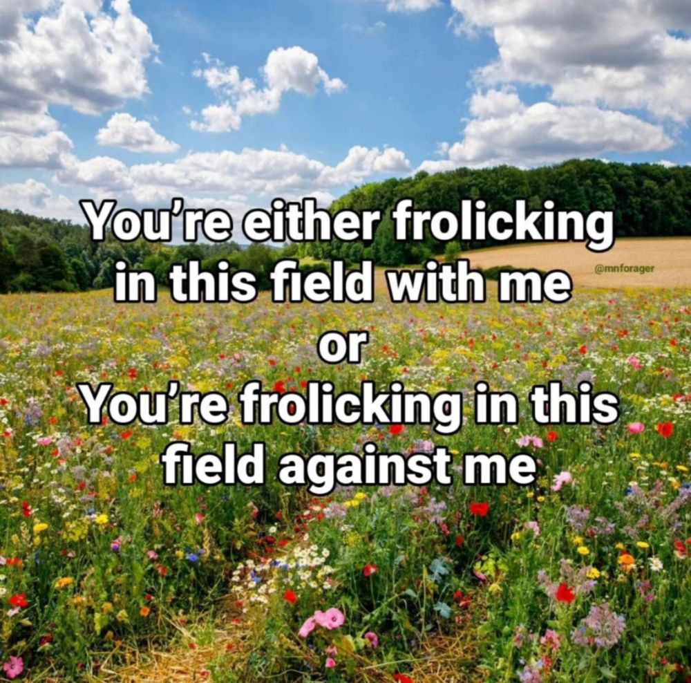 You're either frolicking in this field with me or you're frolicking in this field against me
