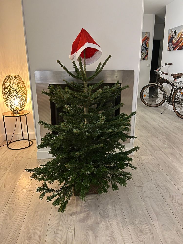 un petit sapin de noël avec comme seule décoration un chapeau de noël en haut 