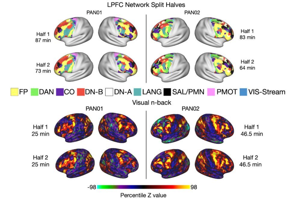 Image showing test-retest reproducibility of brain network measures (top) and task fMRI activations (bottom) in two participants.