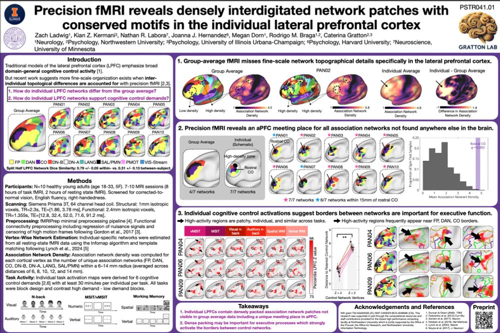 Image of Z. Ladwig poster entitled "Precision fMRI reveals densely interdigitated network patches with conserved motifs in the individual lateral prefrontal cortex"