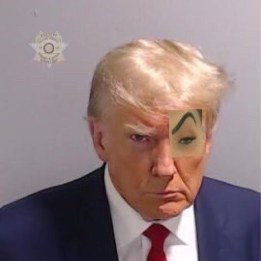 Donald trump’s mugshot with the Mc Mirella's sus Eyebrow edited in