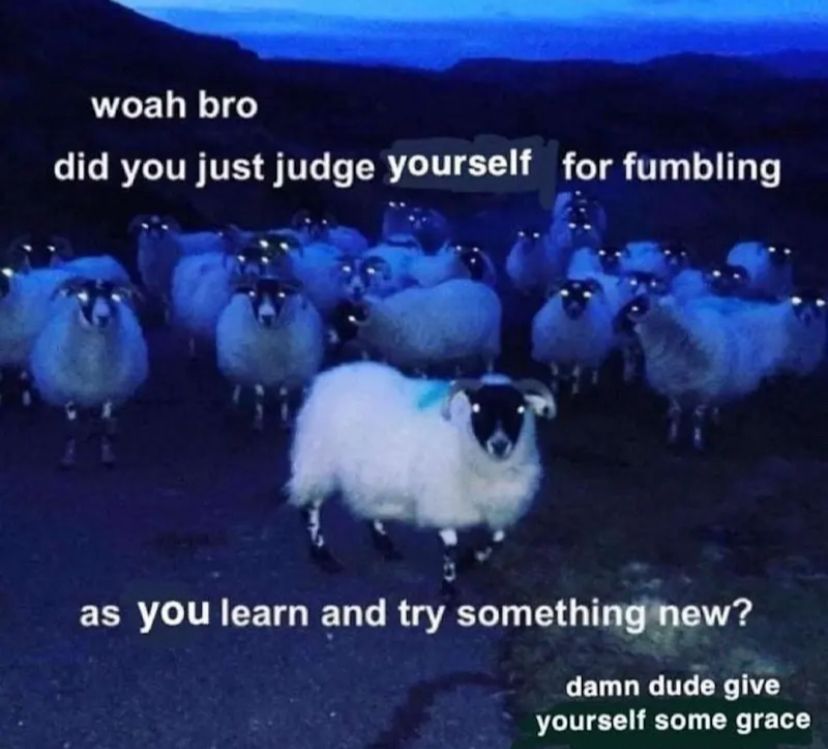 Photo of a flock at sheep at night, taken with a flash so their eyes glow menacingly, with text sprinkled around the image:
”Whoa bro, did you just judge yourself for fumbling as you learn and try something new? Damn dude give yourself some grace”