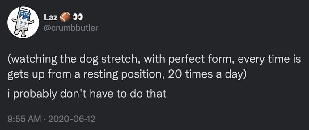 Screenshot of a tweet from @crumbbutler
(watching the dog stretch, with perfect form, every time is [sic] gets up from a resting position, 20 times a day)

i probably don’t have to do that