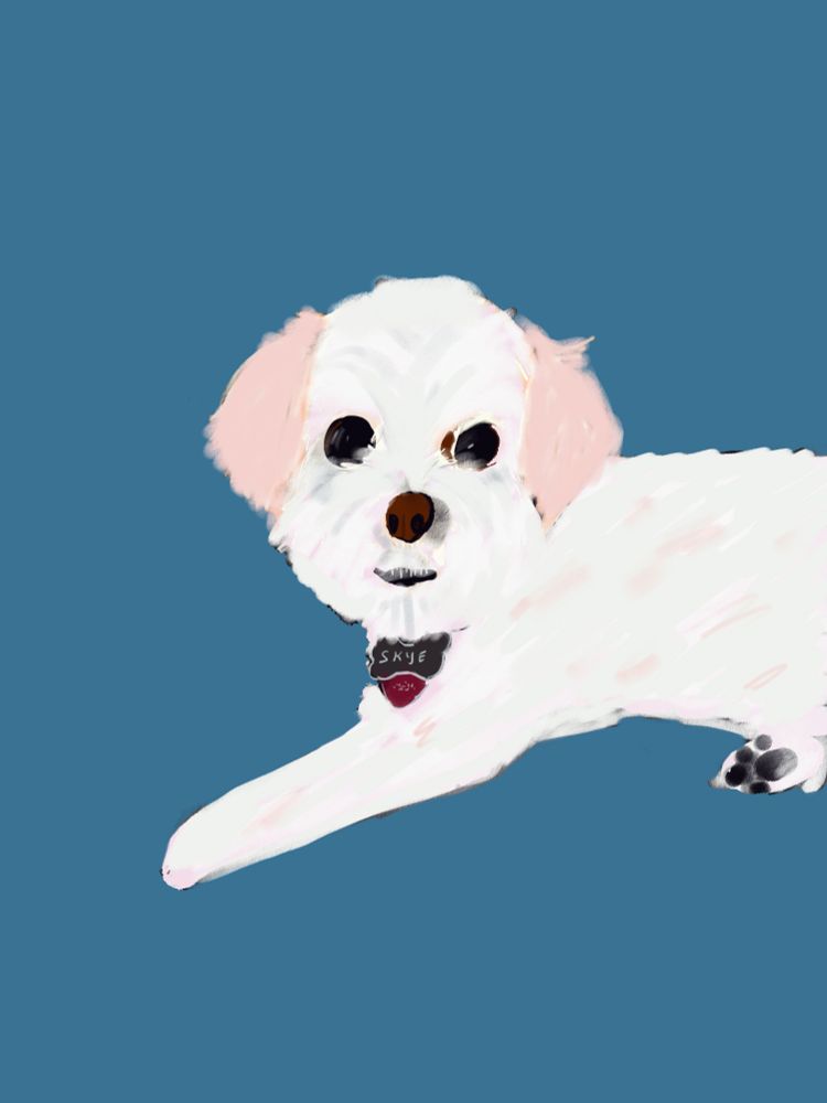 Electronic drawing of a fluffy little white and beige dog