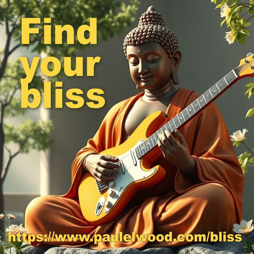 Guitar lessons for all ages abilities and locations (If you on the moon though, be prepared for a comms lag of about 1.23 seconds). First lesson's free. https://paulelwood.com/bliss