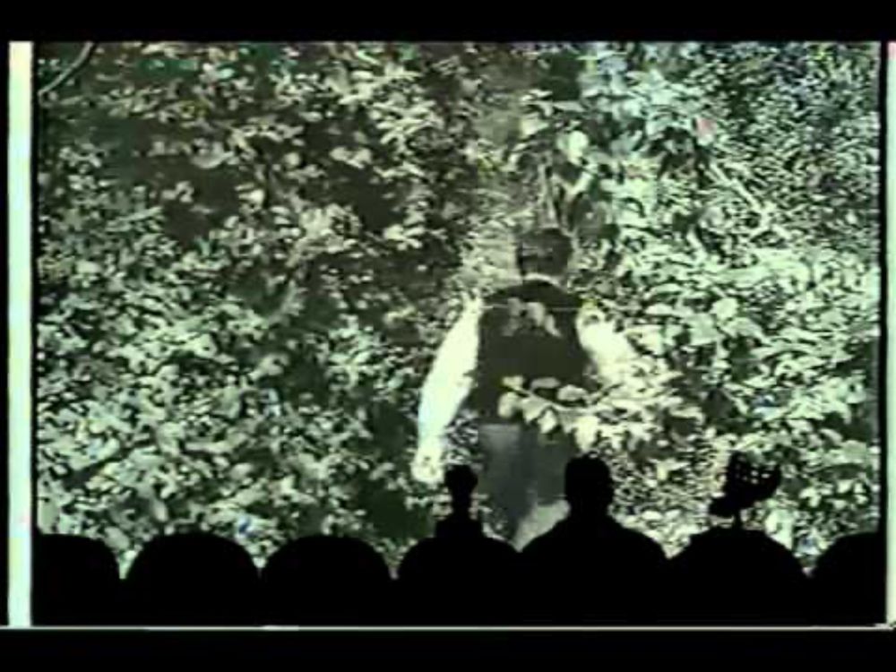 YouTube video by analogkid01