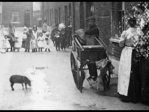 The cat's meat men of London.