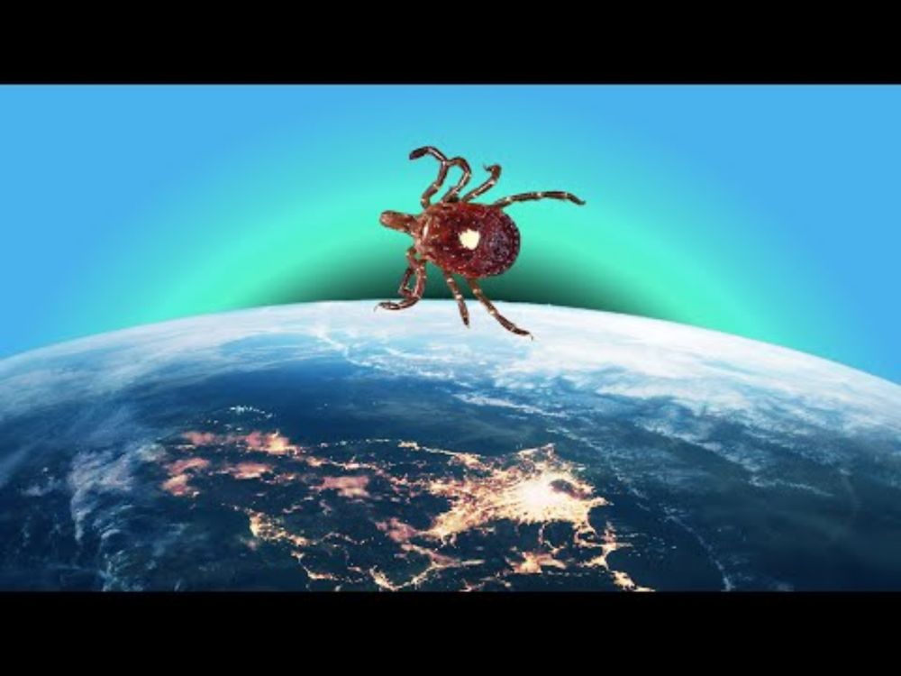 Can the lone star tick save the earth?
