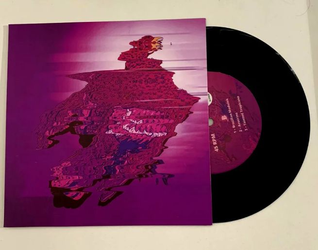 Disco de vinil Cursed Brazilian Beats Vol. 1. A Ilustração da capa é uma pomba morta distorcida por movimentação de scanner. 