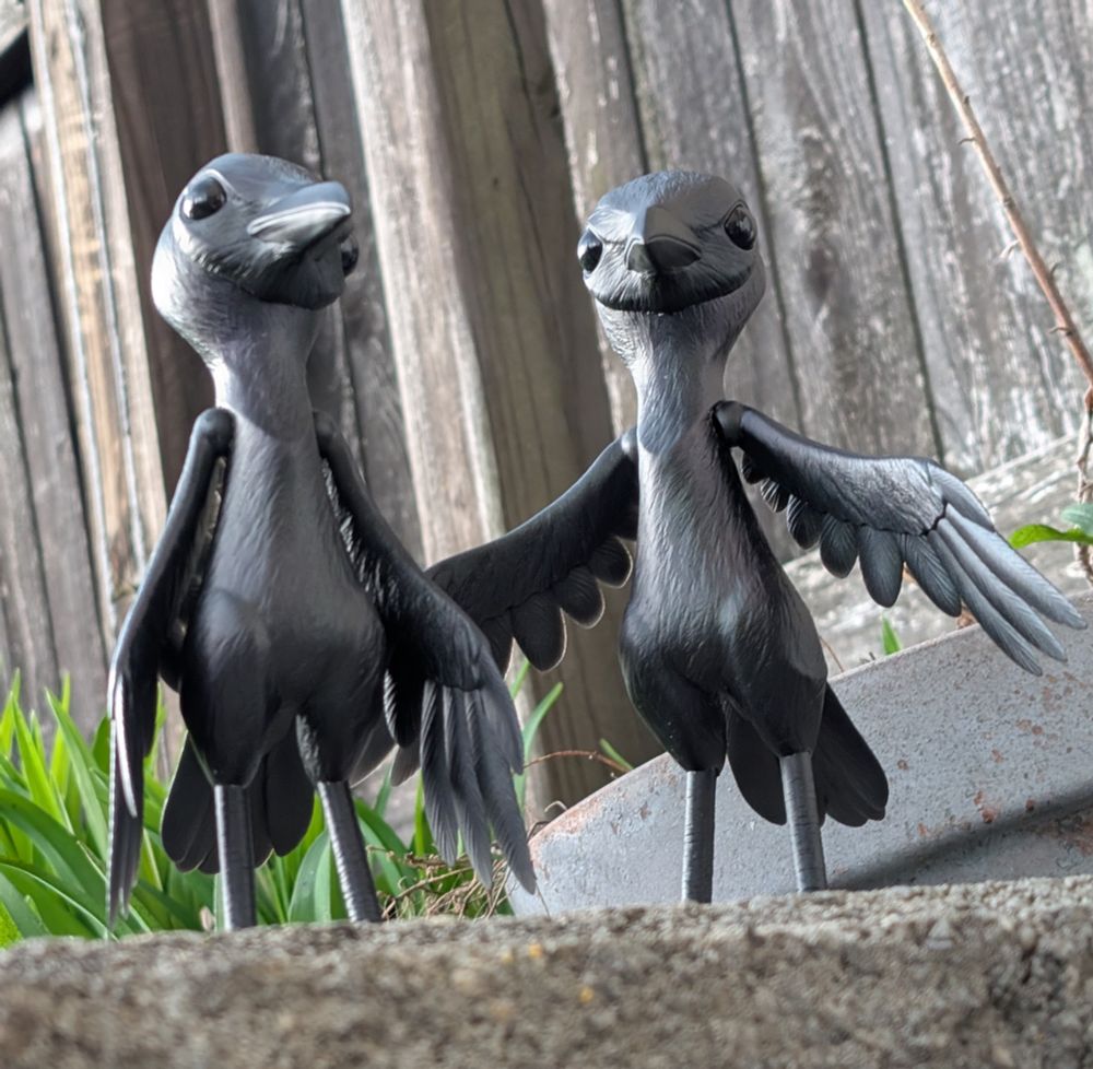 Crow bjd figures 