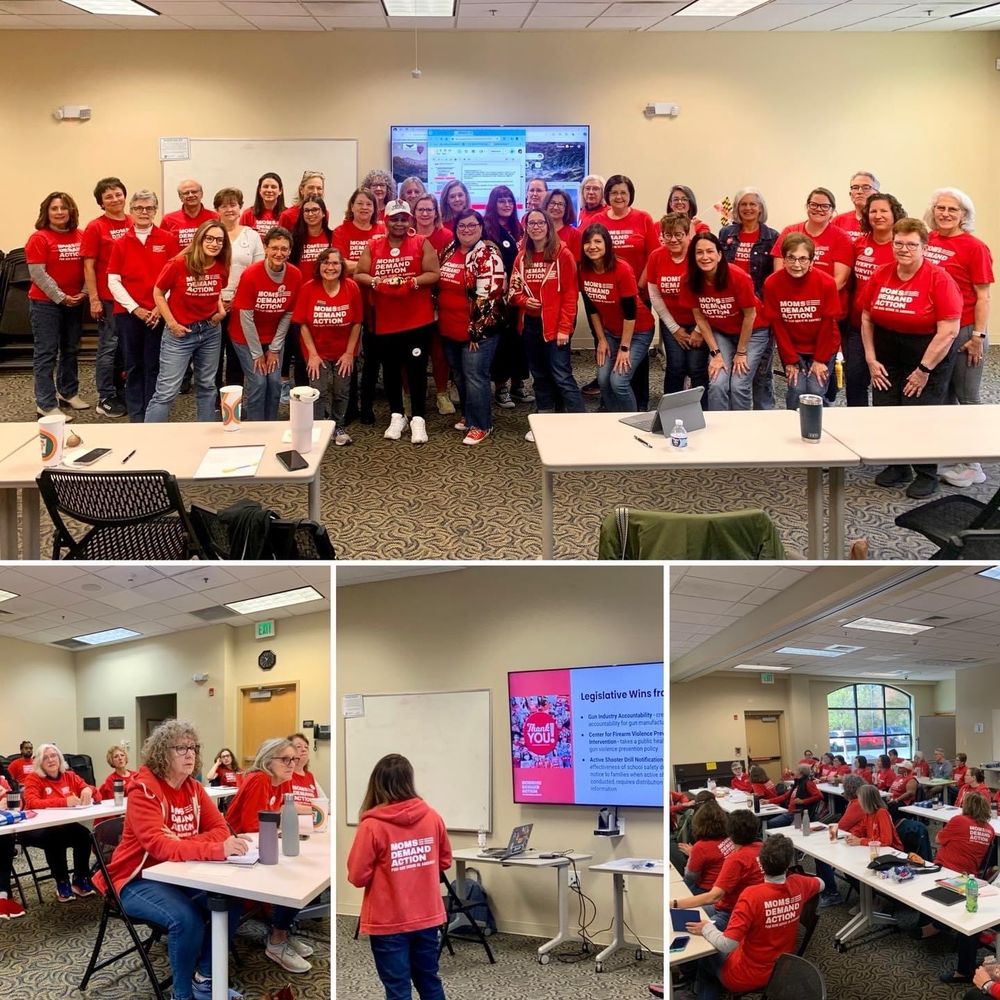 4 photo array of volunteers with Moms Demand Action.
