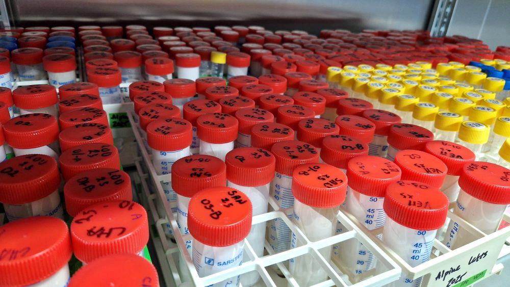 The precious collection of filter concentrates for DNA sequencing, light/electron microscopy analysis, and virus isolation. 