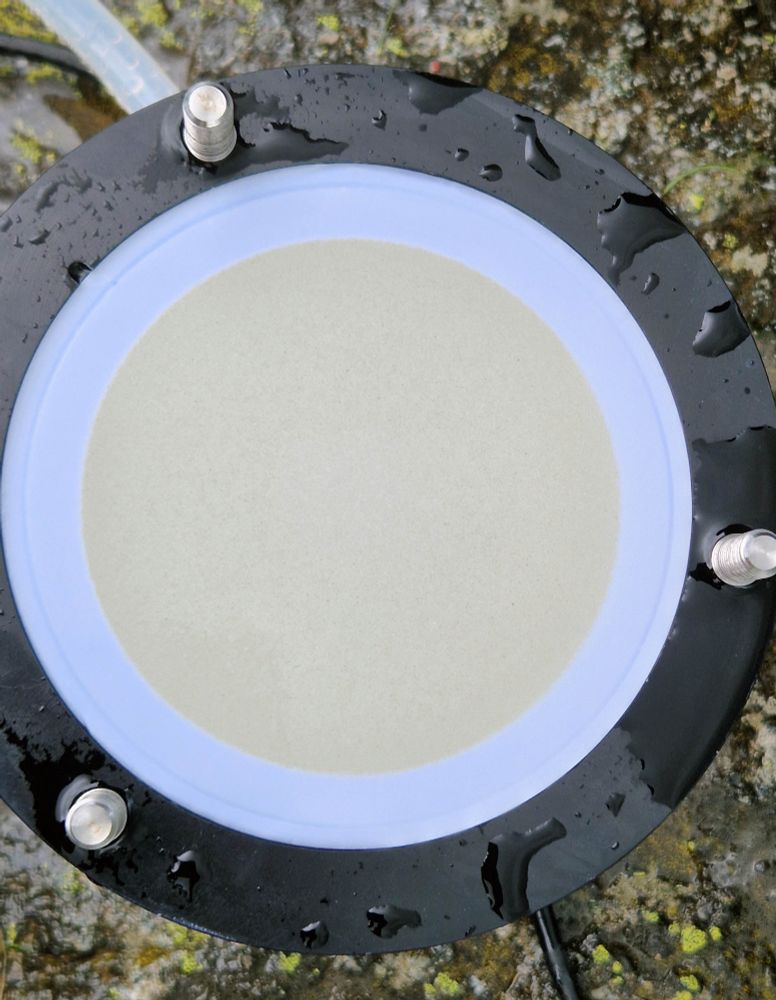 A 5-micrometer filter full of microbes!