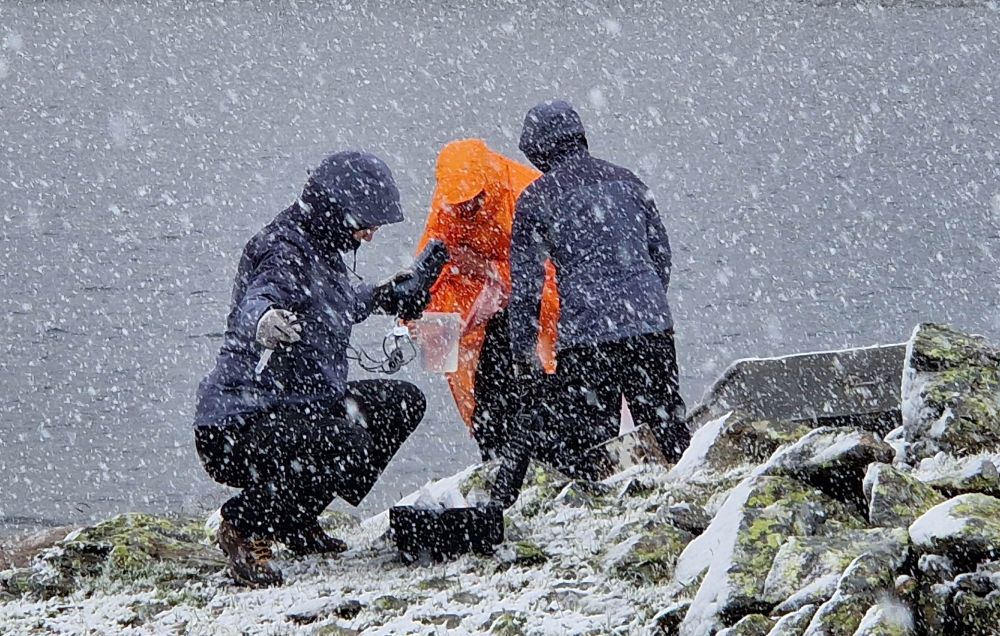 Advanced sampling conditions for @lqueiss.bsky.social @drjmpetersen.bsky.social