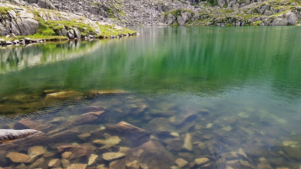 Millions of microscopic algae turned the waters green.