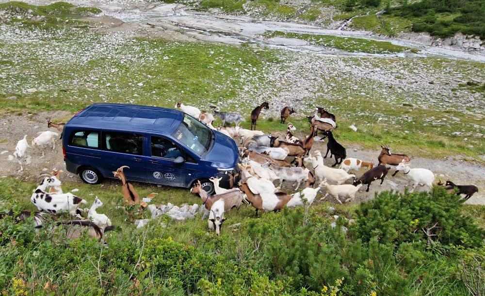 A group of curious locals along the way