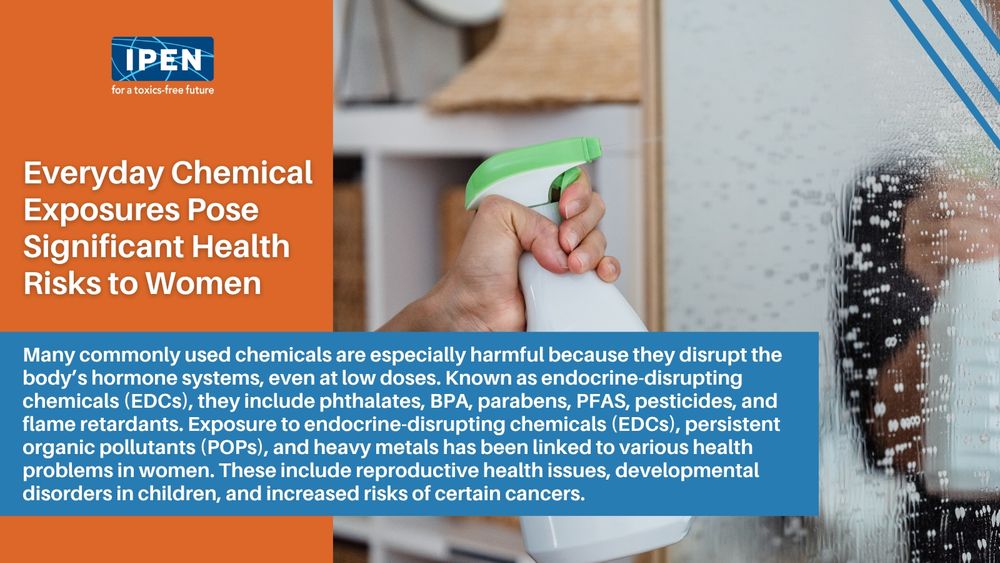 A graphic from IPEN features the headline “Everyday Chemical Exposures Pose Significant Health Risks to Women” alongside an image of a hand spraying cleaner on a mirror. The text explains that many everyday chemicals, including endocrine-disrupting chemicals (EDCs), pose serious risks such as reproductive issues, developmental disorders, and increased cancer risk. The IPEN logo appears in the top left corner, emphasizing its mission for a toxics-free future.