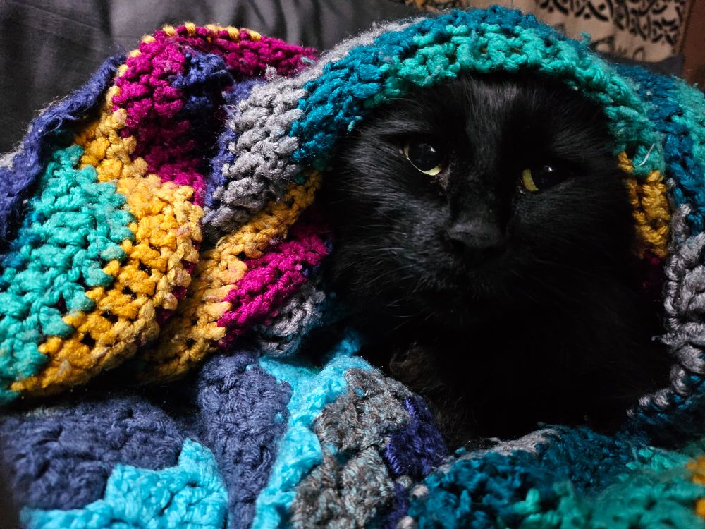Photo of my black cat sticking his face out from under a crocheted blanket. The blanket still covers his ears.