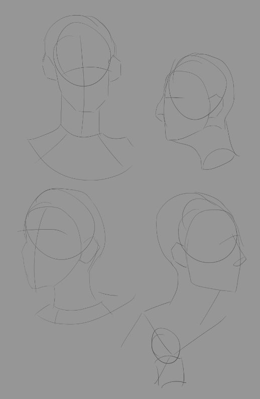 Várias cabeças em vários ângulos para treino 