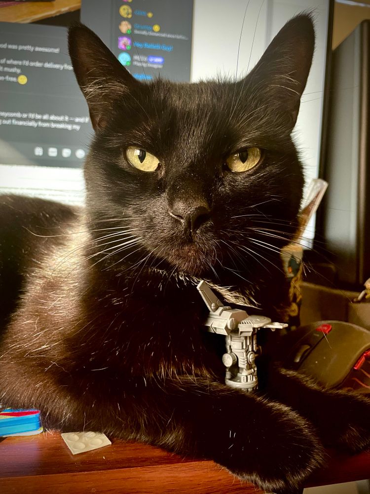 mister boy is a black cat and his paws are around a tโau recon drone