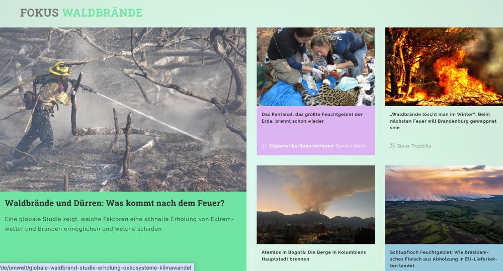 Screenshot der Webseite riffreporter.de - Aktueller Fokus: Waldbrände. 5 Kacheln zum Thema. 
